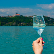 Gasztrokomp esemény fotó, egy pohár bor