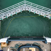 Új hajók zsilipezése